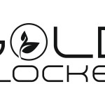 WhatsApp Image 2019-11-07 at 14.32.17 (1)